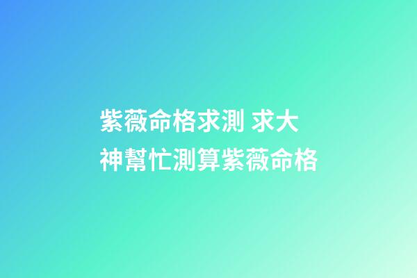 紫薇命格求測 求大神幫忙測算紫薇命格-第1張-觀點-玄機派